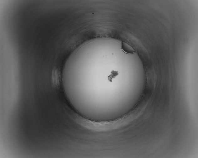 X0000101700038200807171524