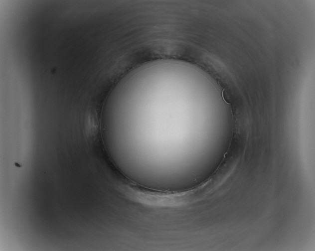 X0000101700040200807171524