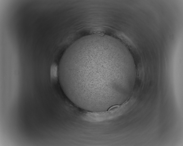 X0000101700041200807171524