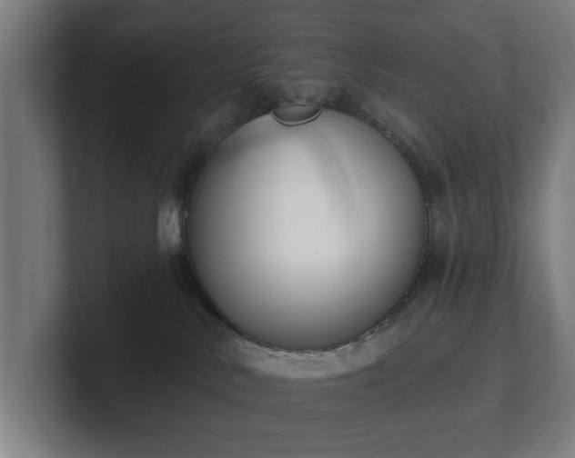 X0000101700042200807171524