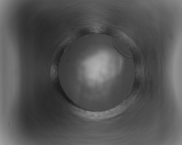 X0000101700043200807171524