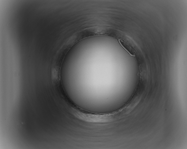 X0000101700044200807171524