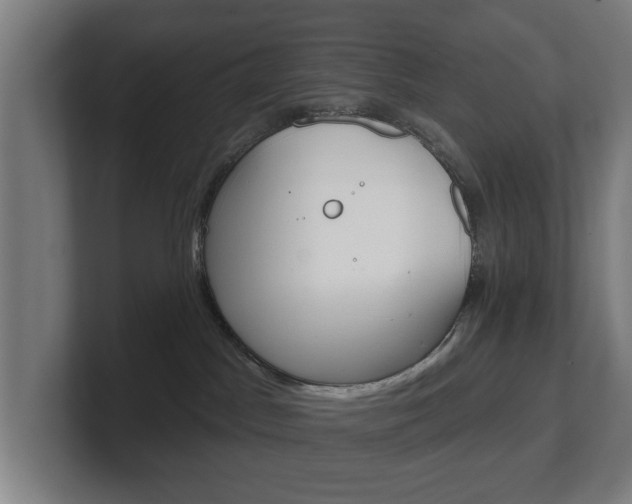 X0000101700045200807171524