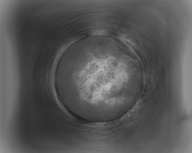 X0000101700049200807171523