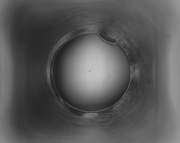 X0000101700051200807171523