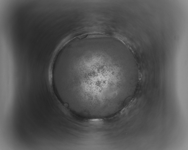 X0000101700053200807171523