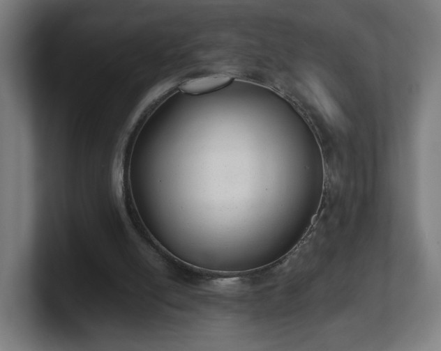 X0000101700054200807171523