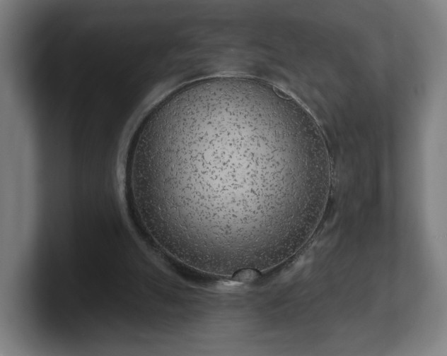 X0000101700055200807171523