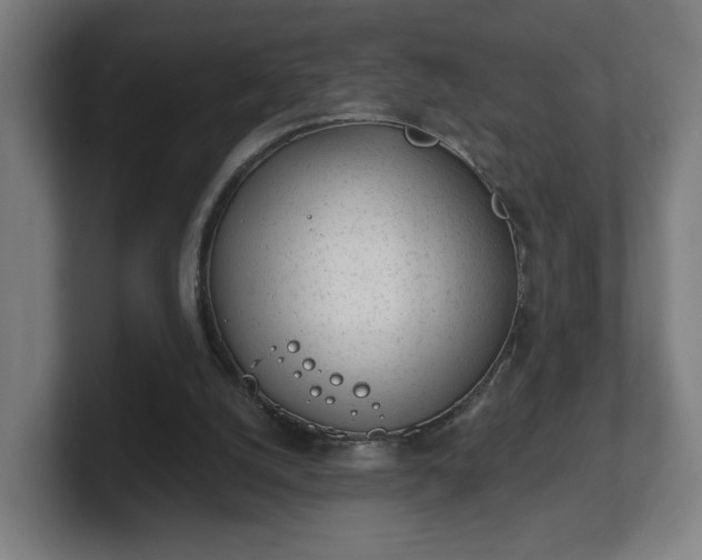 X0000101700056200807171523