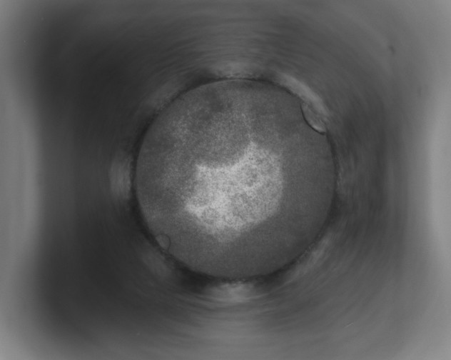 X0000101700065200807171523