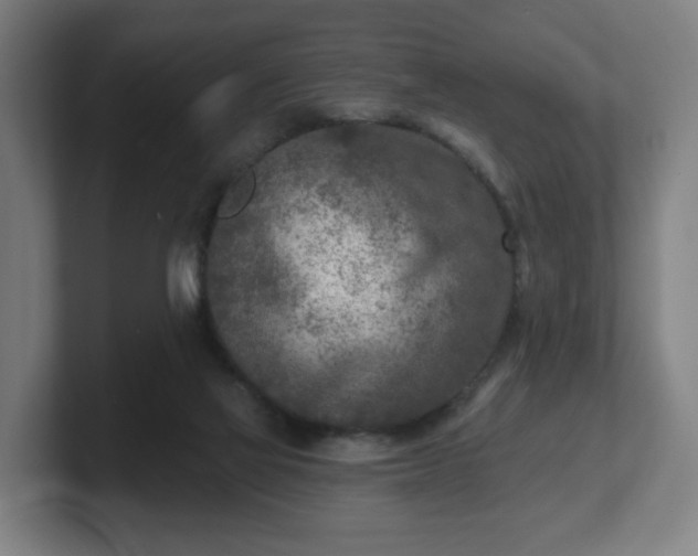 X0000101700069200807171523