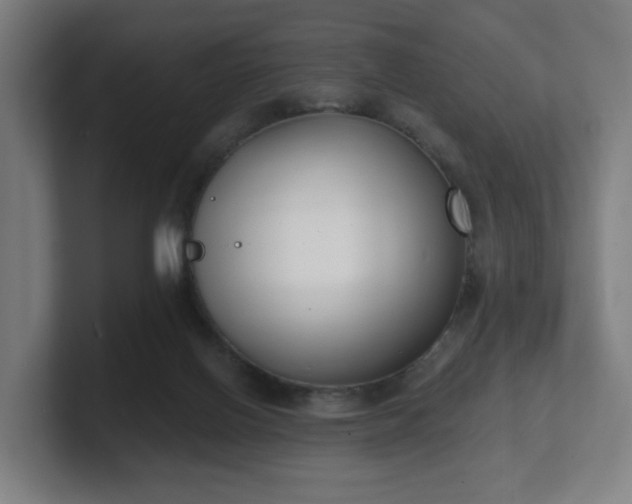 X0000101700070200807171524