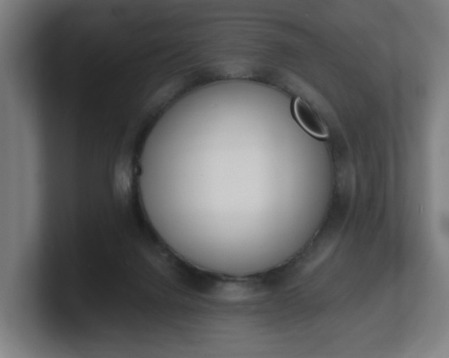 X0000101700072200807171524