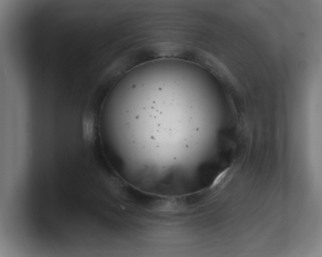 X0000101700074200807171524