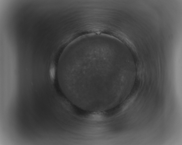 X0000101700076200807171524