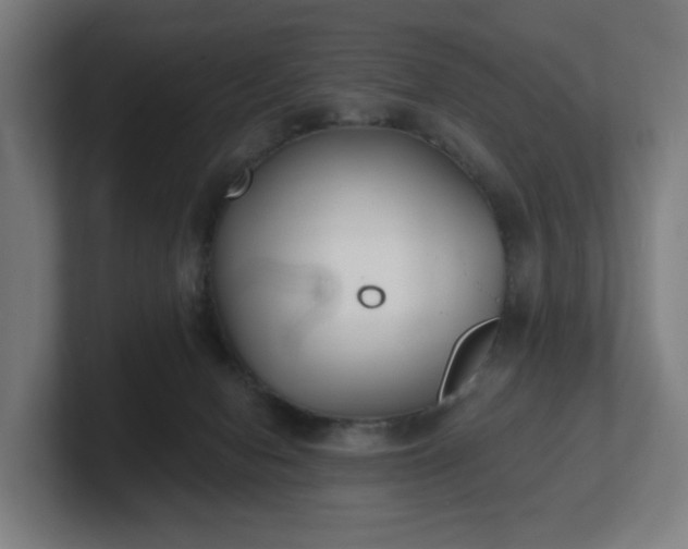 X0000101700078200807171524