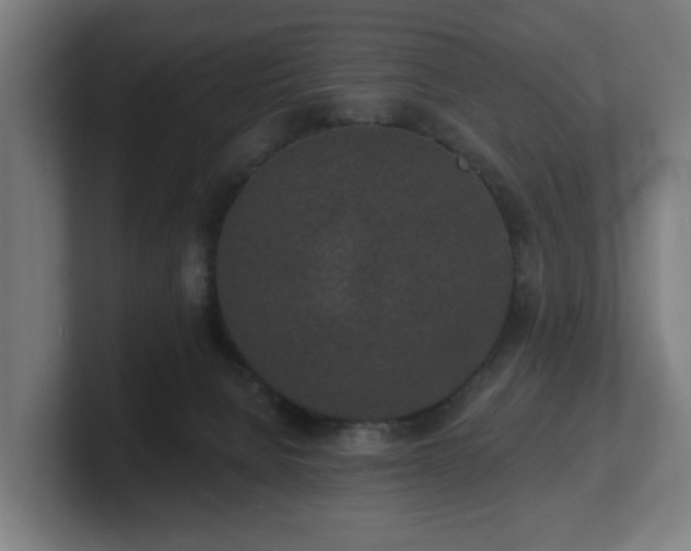 X0000101700080200807171524