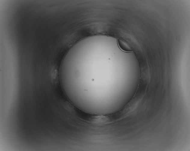 X0000101700087200807171524