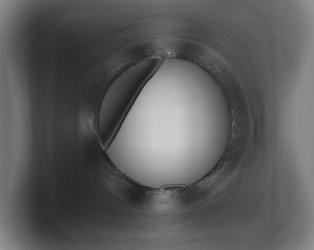 X0000101700096200807171524