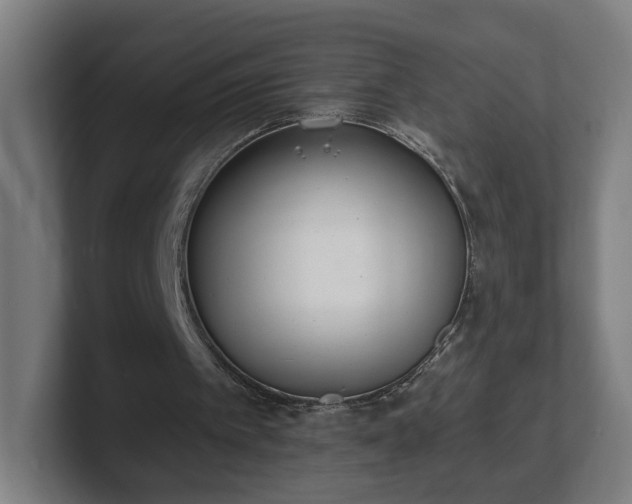 X0000101700097200807171523