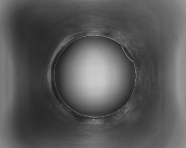 X0000101700102200807171523