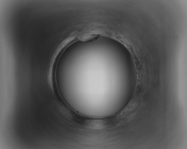 X0000101700104200807171523