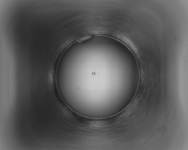 X0000101700105200807171523