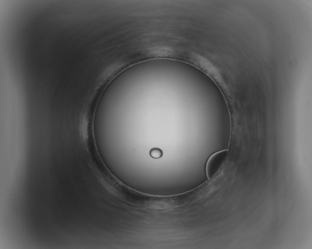 X0000101700106200807171523