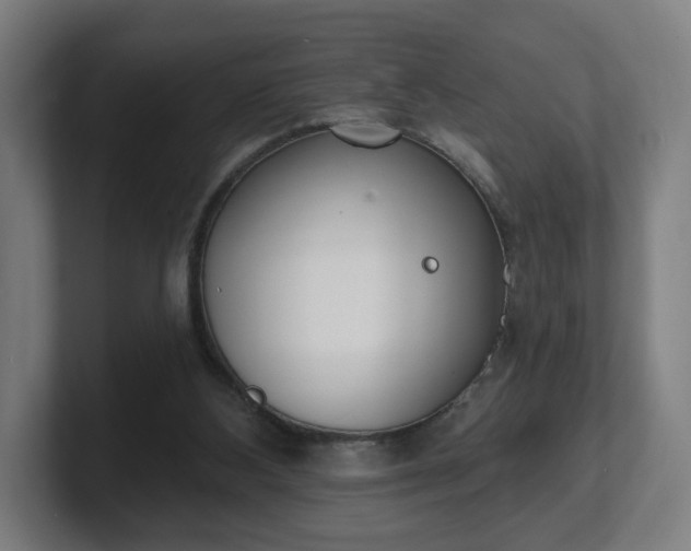 X0000101700108200807171523