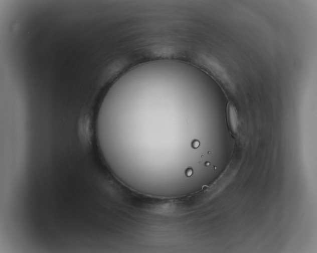 X0000101700116200807171523