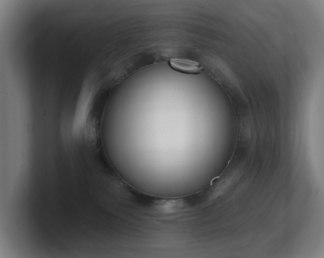 X0000101700135200807171523