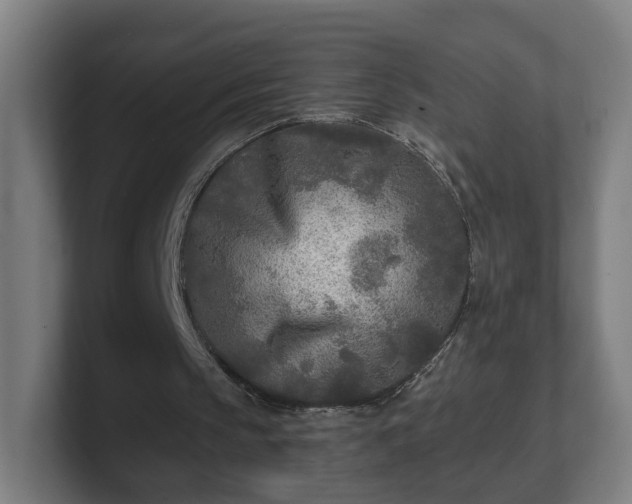 X0000101700145200807171522