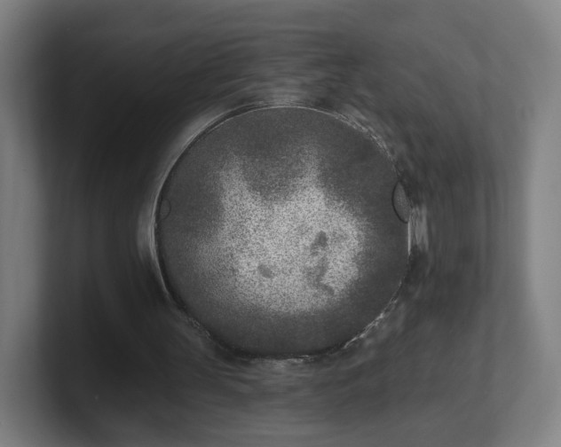 X0000101700147200807171522