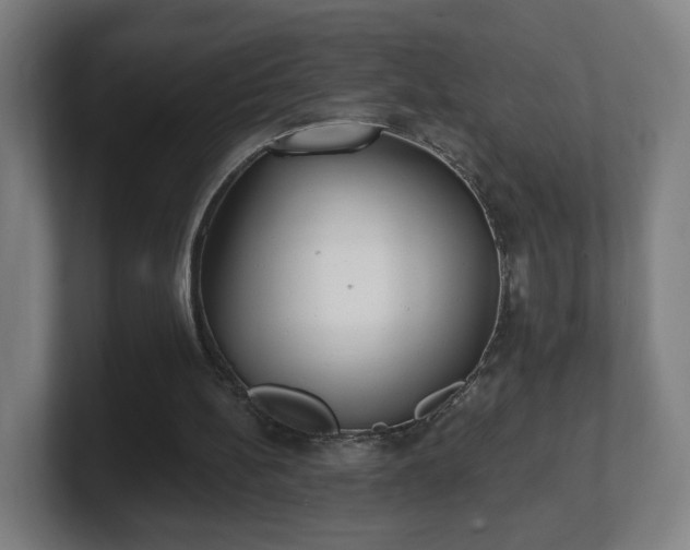 X0000101700148200807171522