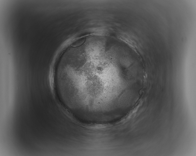 X0000101700149200807171522