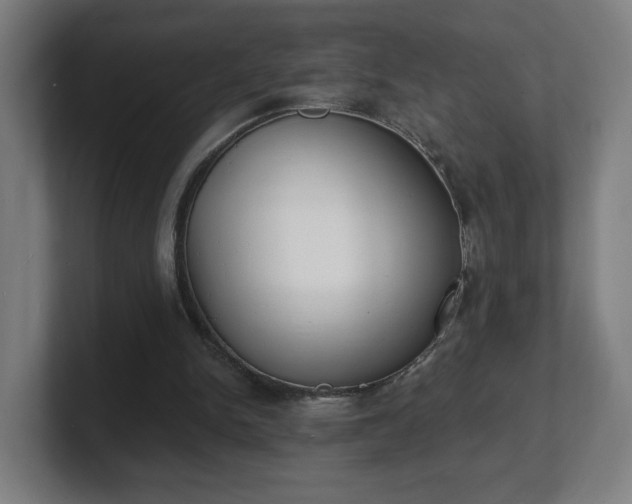 X0000101700150200807171522