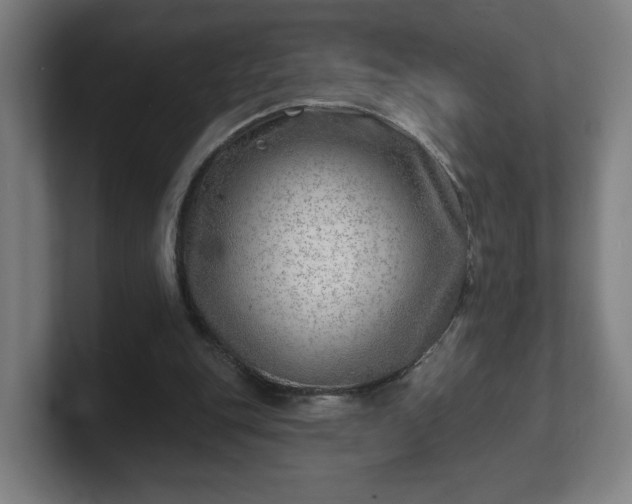 X0000101700151200807171522