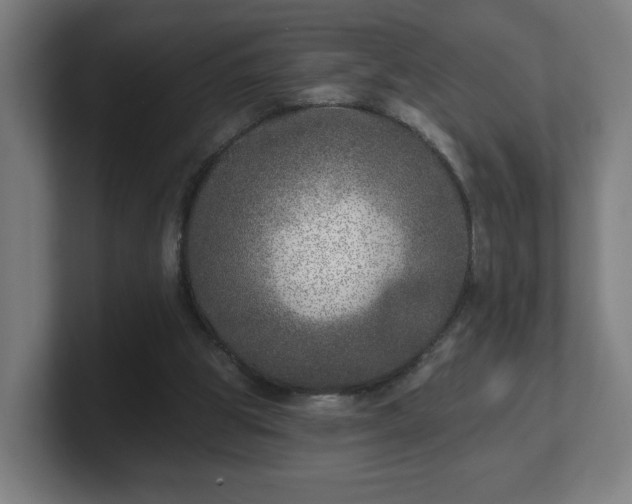 X0000101700153200807171522