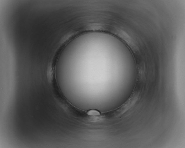 X0000101700160200807171522