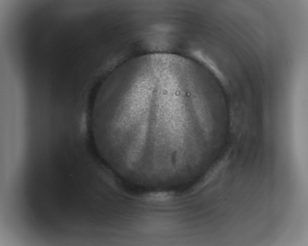 X0000101700161200807171522