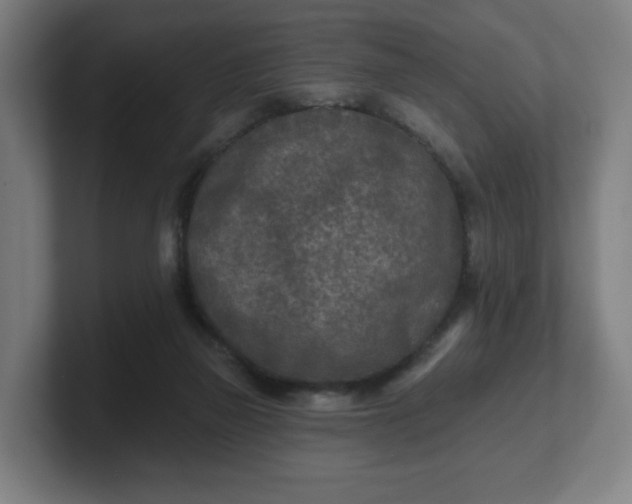 X0000101700165200807171522