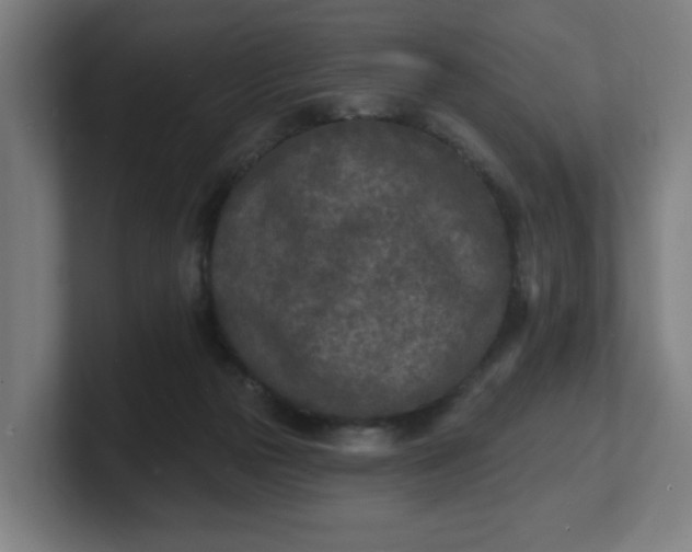 X0000101700169200807171522