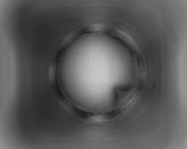 X0000101700171200807171522