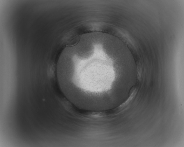 X0000101700175200807171522