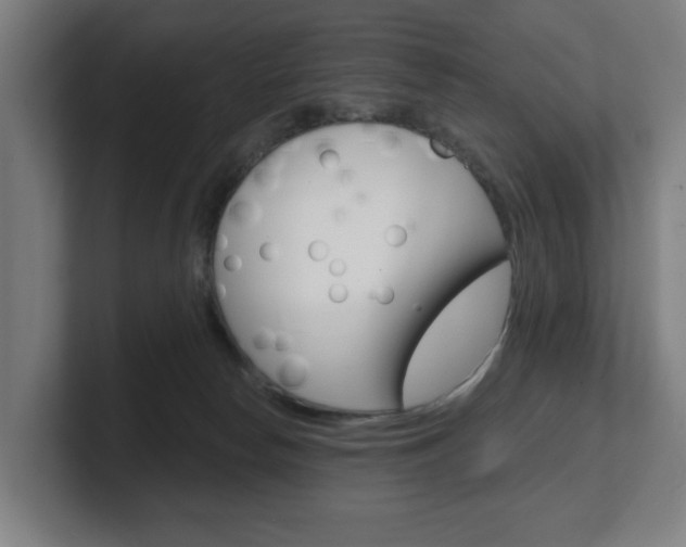 X0000101700178200807171522