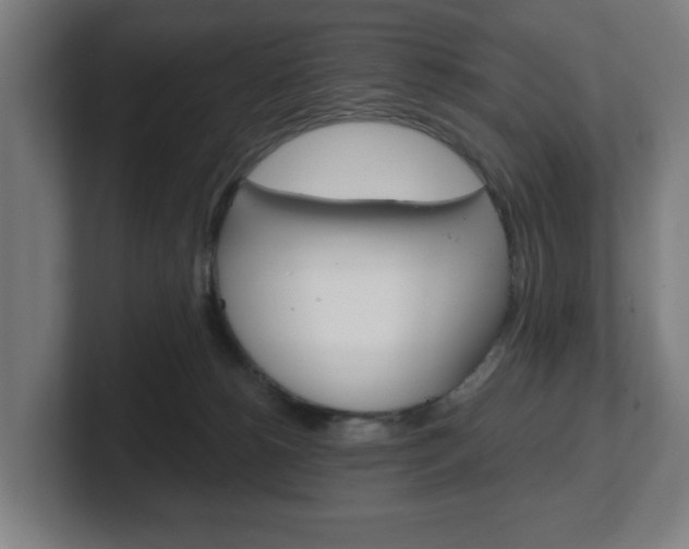 X0000101700180200807171522