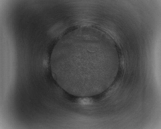 X0000101700181200807171522