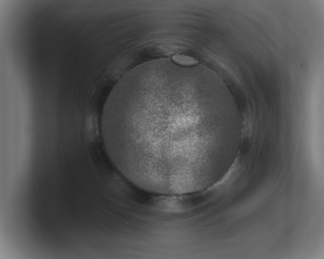 X0000101700182200807171522