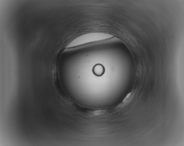 X0000101700184200807171522