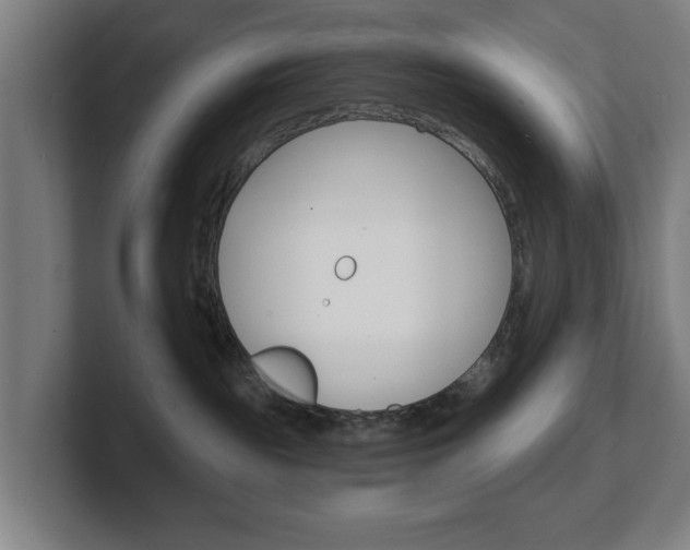 X0000101700189200807171522